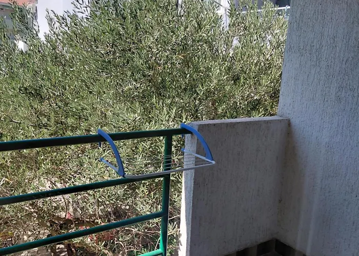 Galery * מאקרסקה